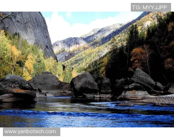 布莱克尼的神秘魅力探寻与历史文化之旅